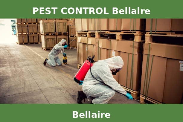 PEST CONTROL Bellaire